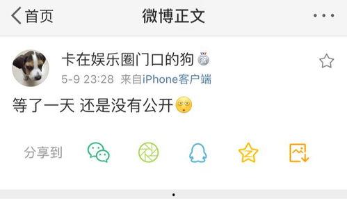 吃瓜爆料人气小花,揭秘当红小花背后的风云际会