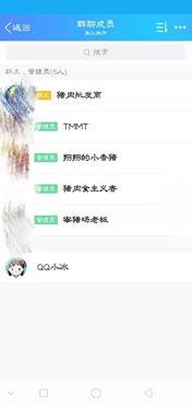 群聊名称吃瓜群,网络社交的趣味与争议