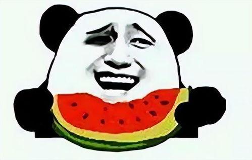 奇葩的吃瓜群众,揭秘网络热议背后的奇葩现象