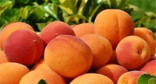 桃桃吃清瓜,甜蜜滋味尽在口中