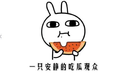 吃瓜路过图片,吃瓜路人视角下的娱乐圈风云录