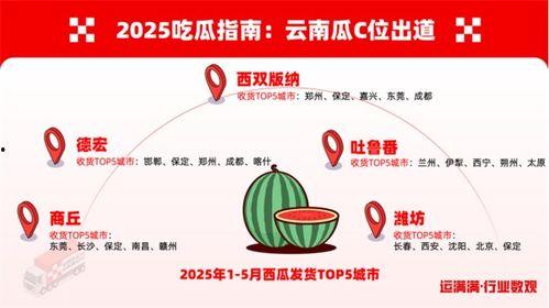 吃瓜全流程,揭秘吃瓜全流程的趣味之旅