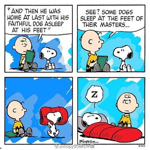 吃瓜史努比图片,史努比吃瓜瞬间，萌态尽显