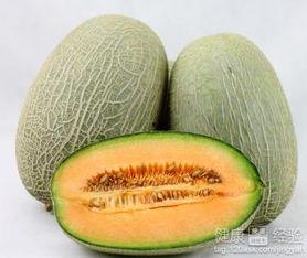 大学吃哈密瓜视频,大学里的甜蜜时光