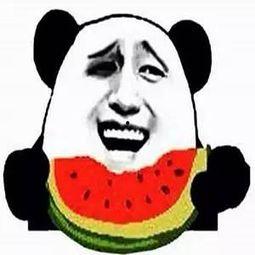 吃瓜长大,揭秘娱乐圈背后的故事与真相