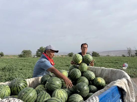 仙界吃瓜,揭秘仙界吃瓜背后的神秘故事