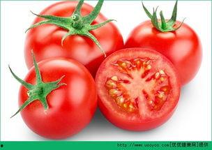 吃毛瓜可以吃西红柿吗,能否共享餐桌的美食探索